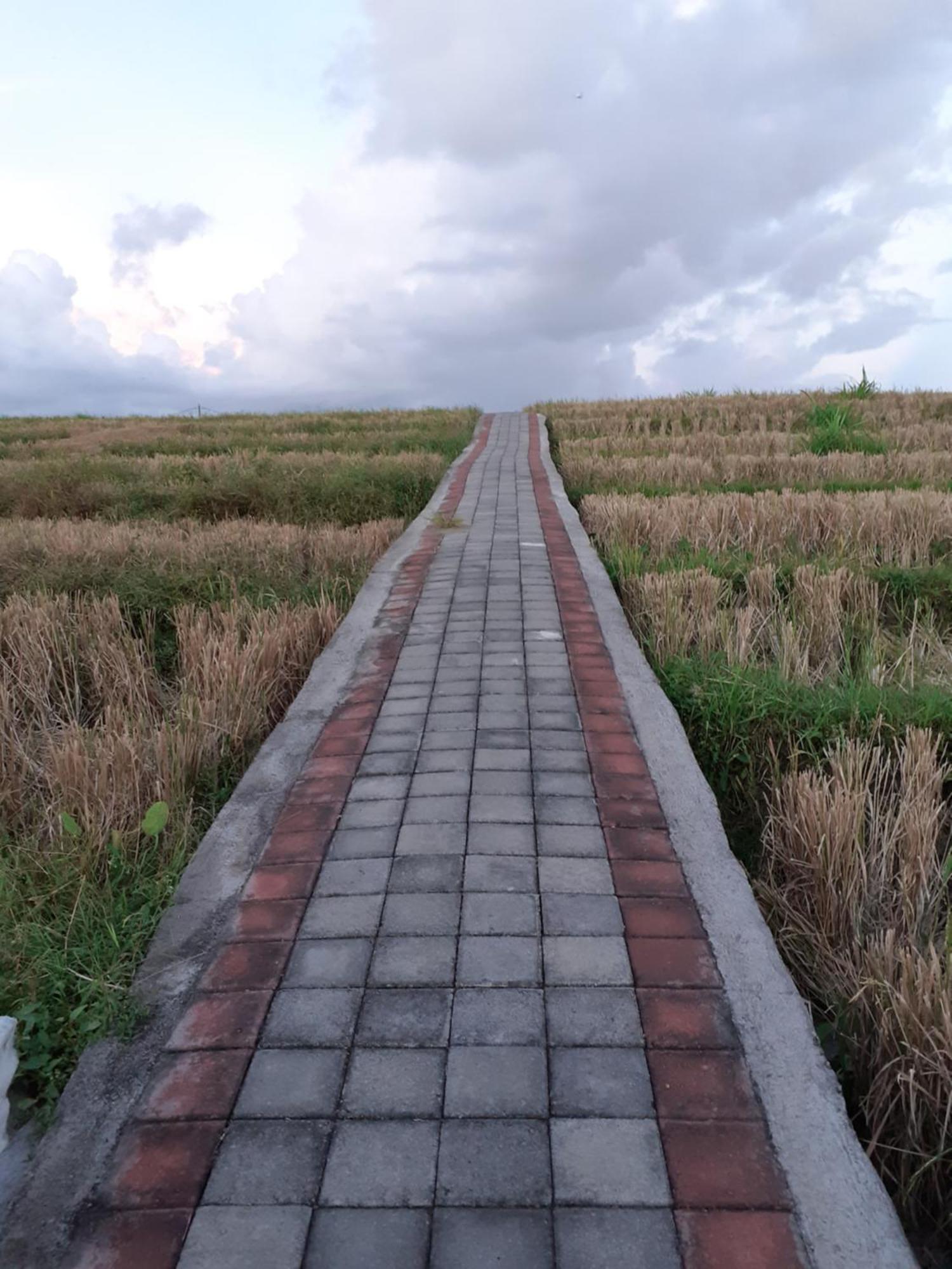 Griya Bun Sari Apartment Sukawati  Ngoại thất bức ảnh