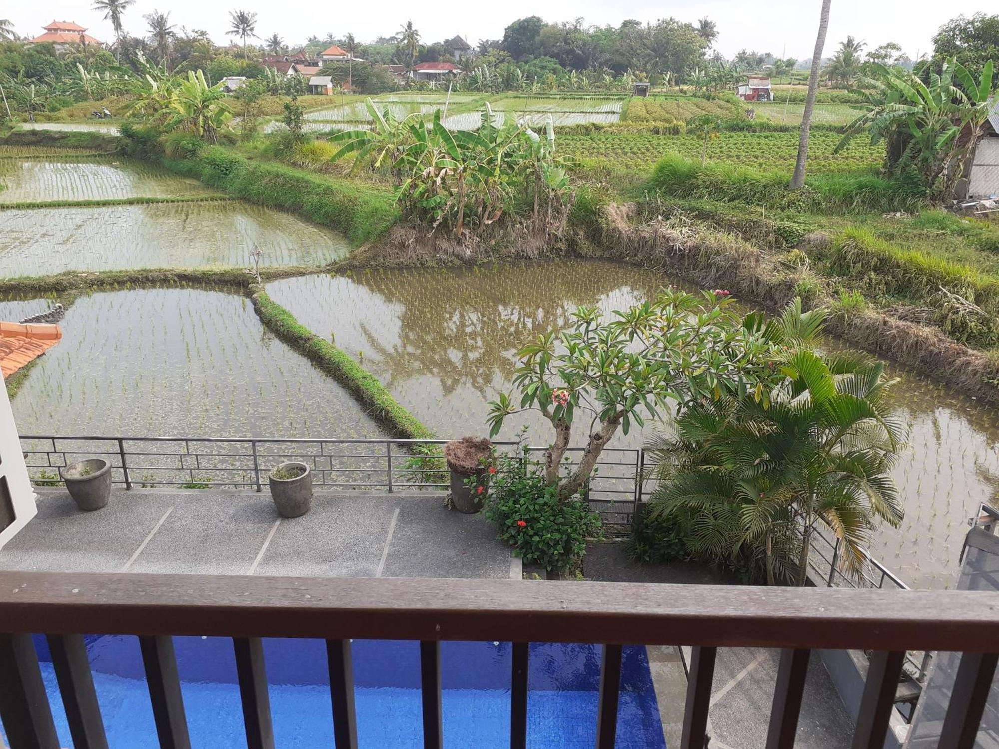 Griya Bun Sari Apartment Sukawati  Ngoại thất bức ảnh