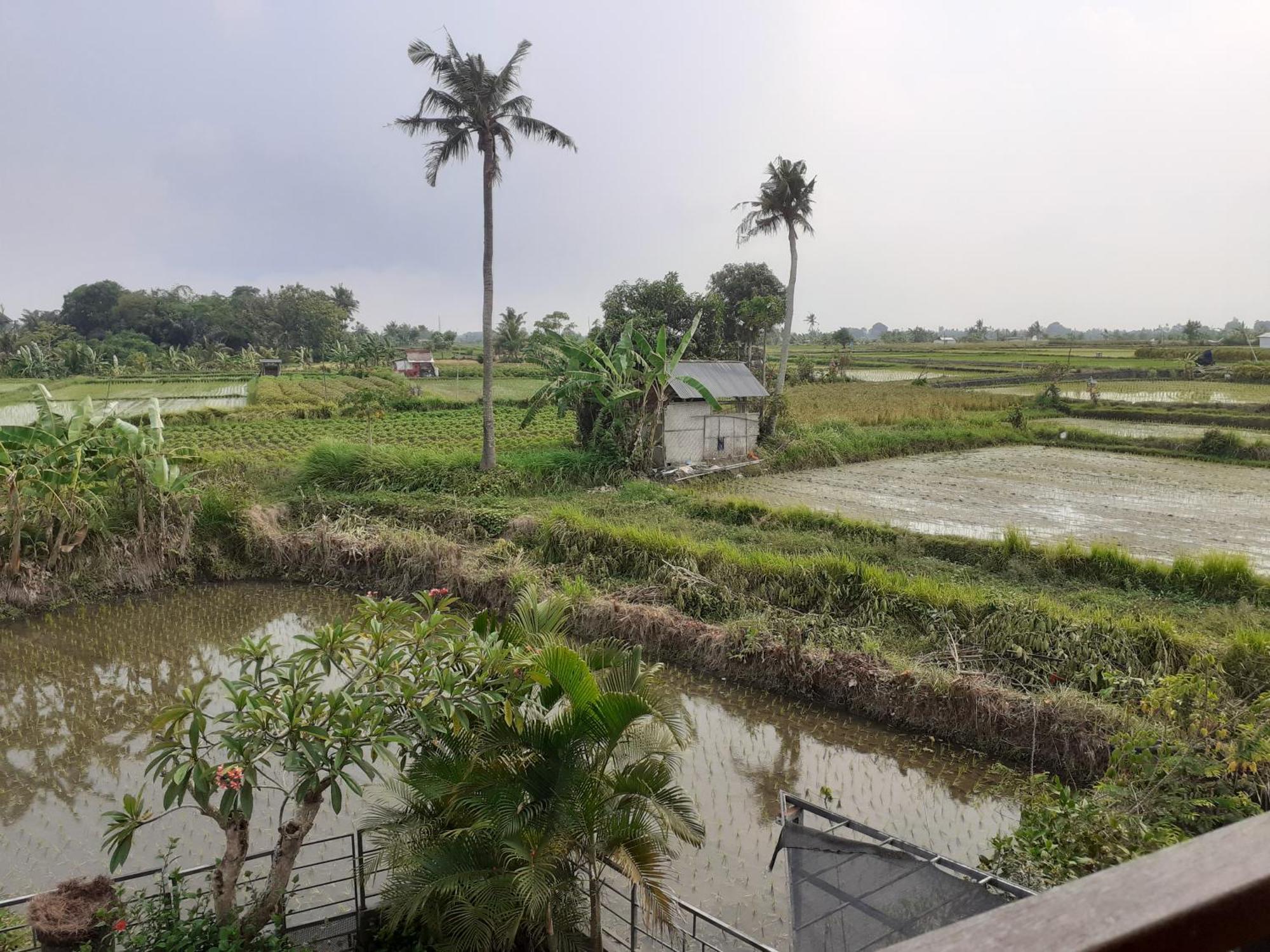 Griya Bun Sari Apartment Sukawati  Ngoại thất bức ảnh