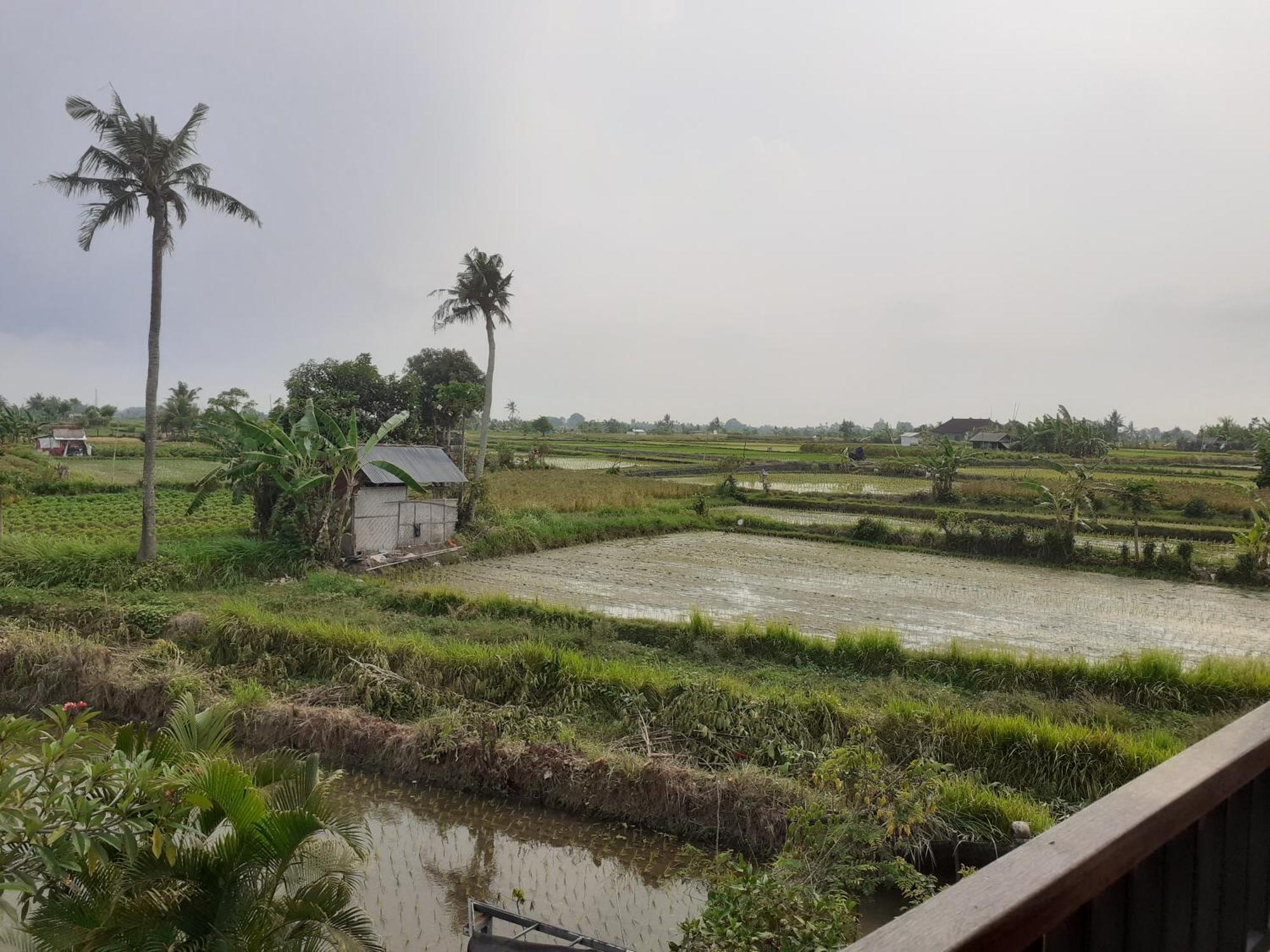 Griya Bun Sari Apartment Sukawati  Ngoại thất bức ảnh